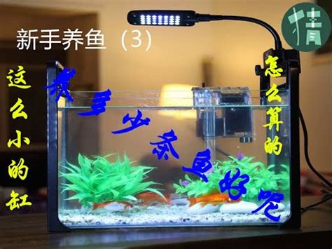 養魚隻數